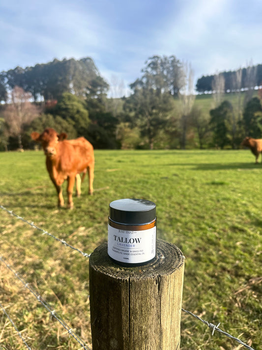 Tallow vs Plant Oils: Which is Best for Your Skin?